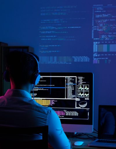 Consulting image software development